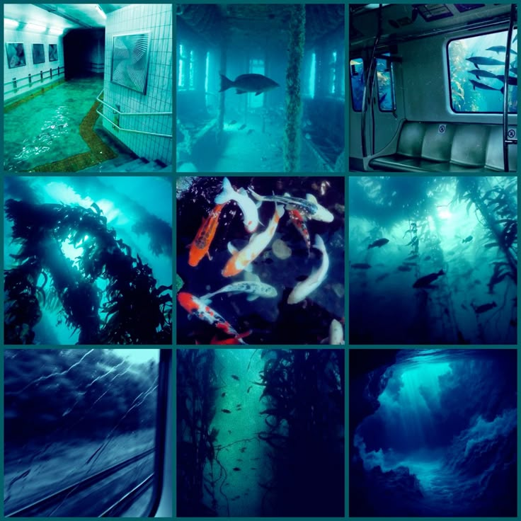 underwater subway